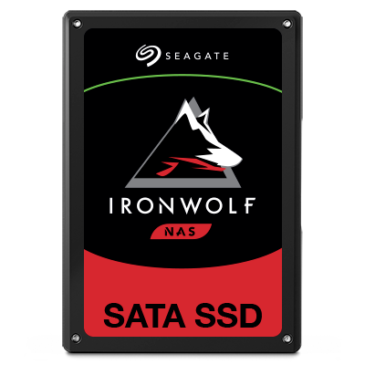 IronWolf 110 SSD 480GB